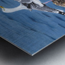 A cruise you said  Metal print