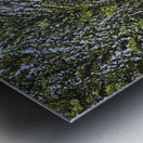 Tatamagouche Grain Elevator  Metal print