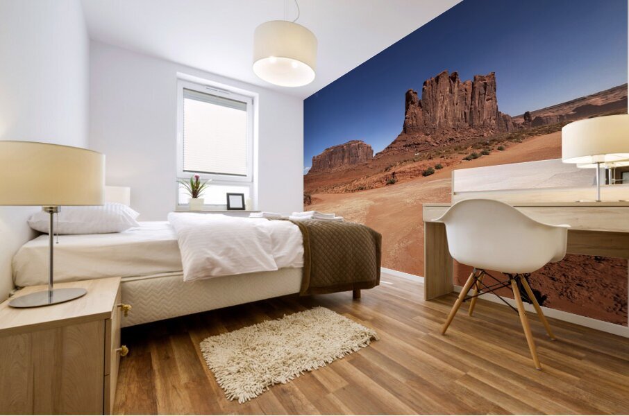 Monument Valley 4 Mural print