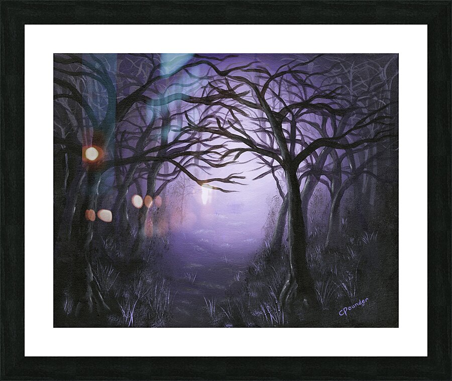 Drawn to the Light Picture Frame print