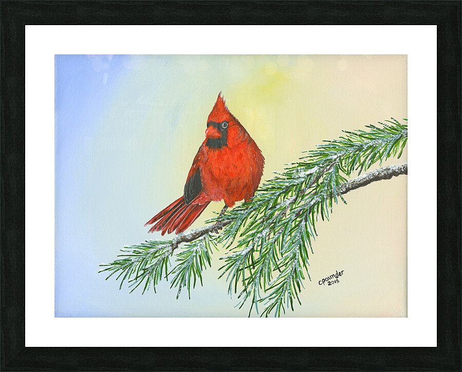 Cardinal  Picture Frame print