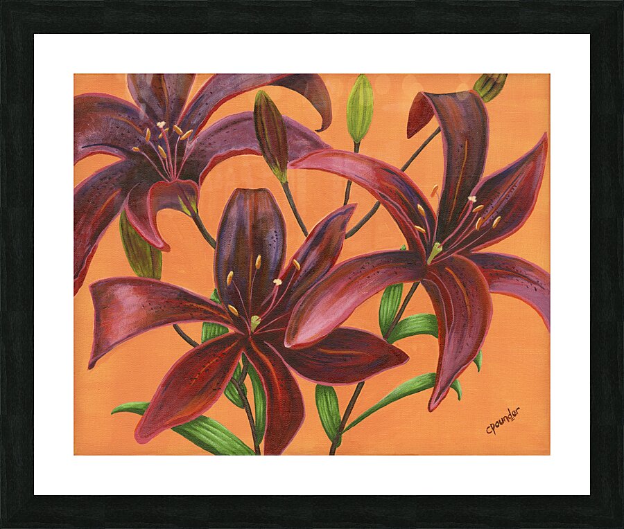 Lily Burst  Impression et Cadre photo