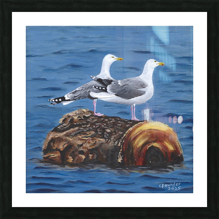 A cruise you said  Picture Frame print