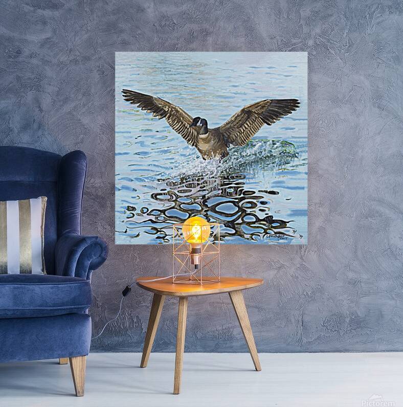 Making a Splash Reproduction