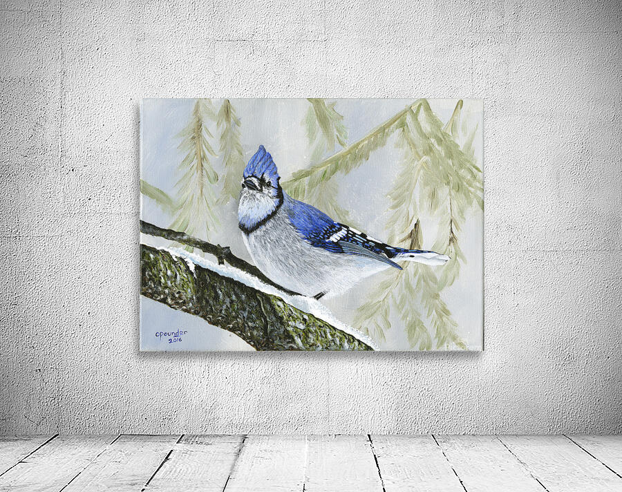 Winter Bluejay Wall Preview