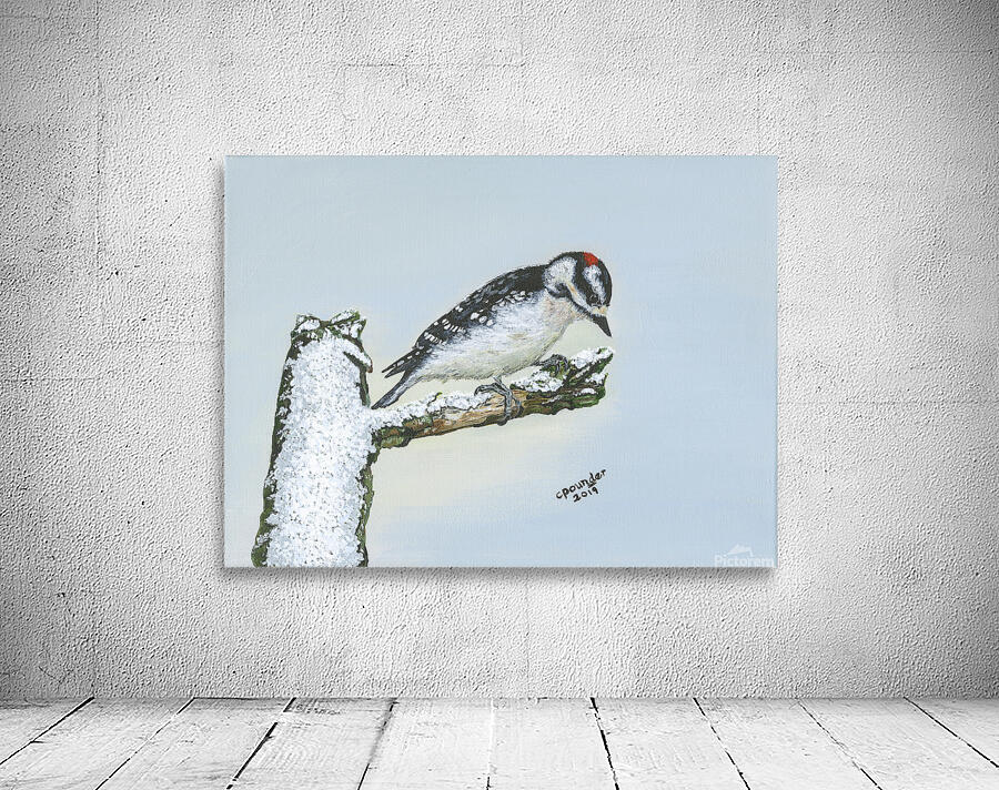 Downy Woodpecker Wall Preview