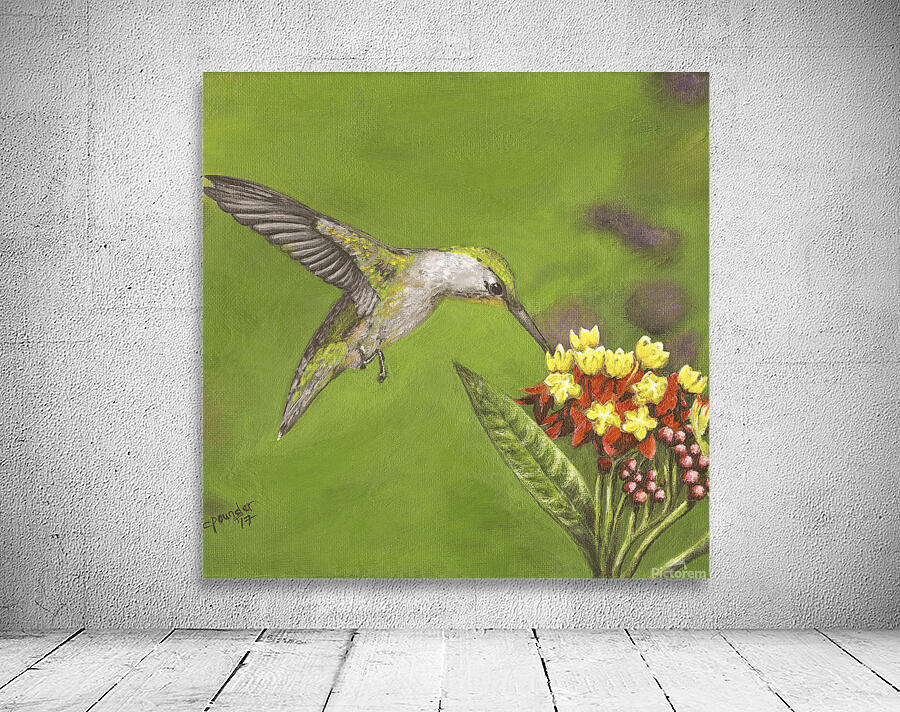 Humming Bird  Wall Preview