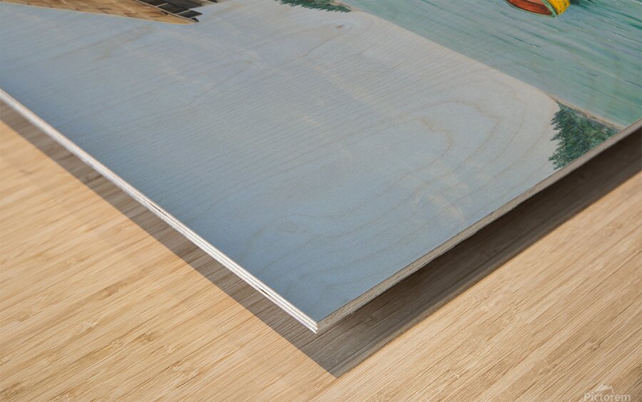 Dees Dory Wood print