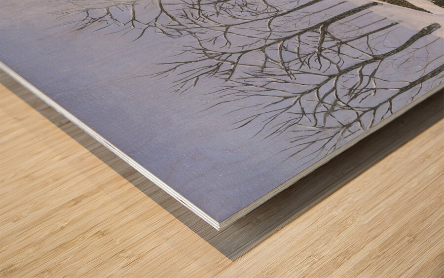 Nostalga - Winter Sleigh Ride Wood print