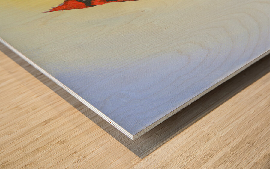 Cardinal  Wood print