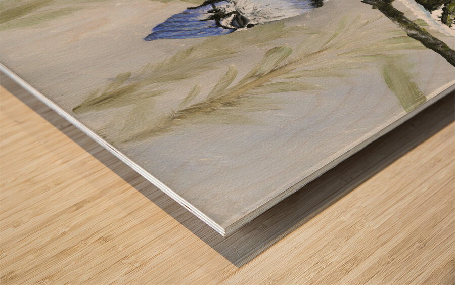 Winter Bluejay Wood print