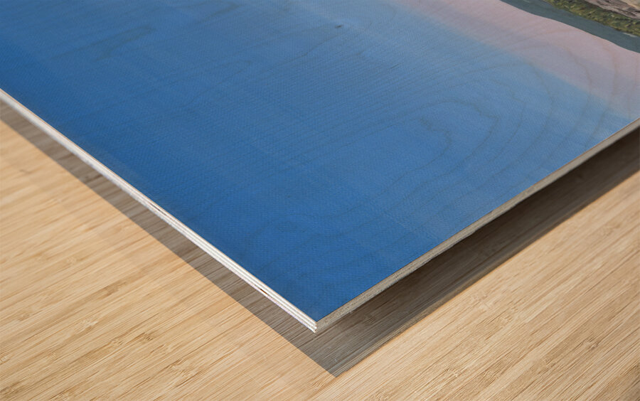 Two Islands Wood print