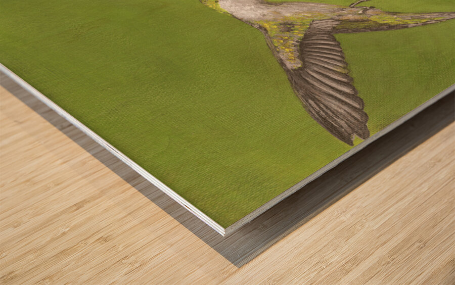 Humming Bird  Wood print