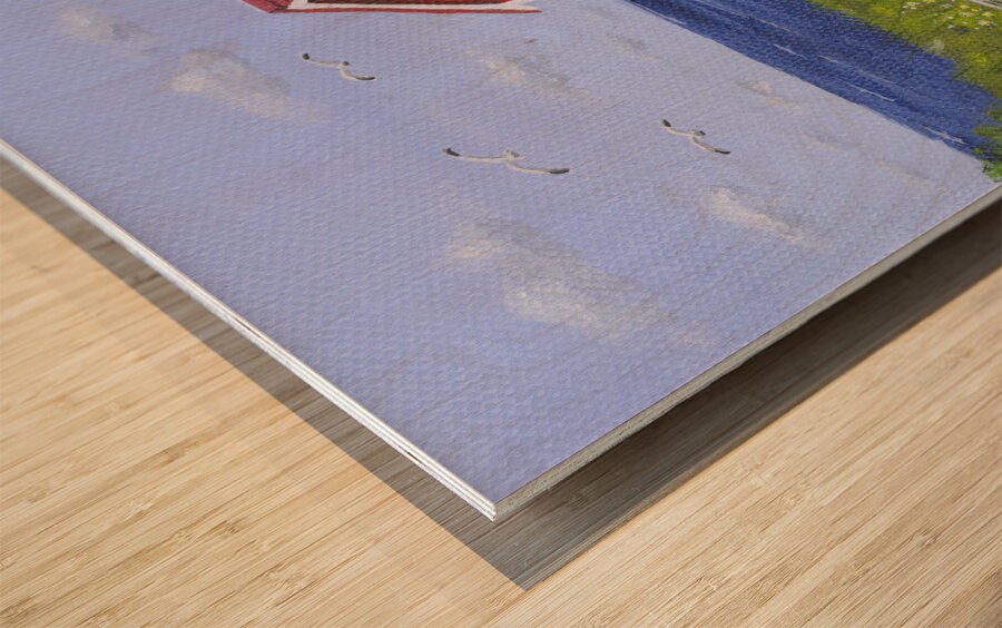 No Mow May 4  Wood print