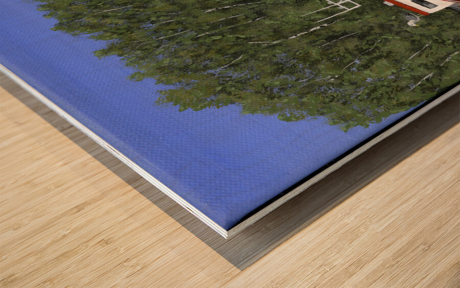 Seas the Day 4 Wood print