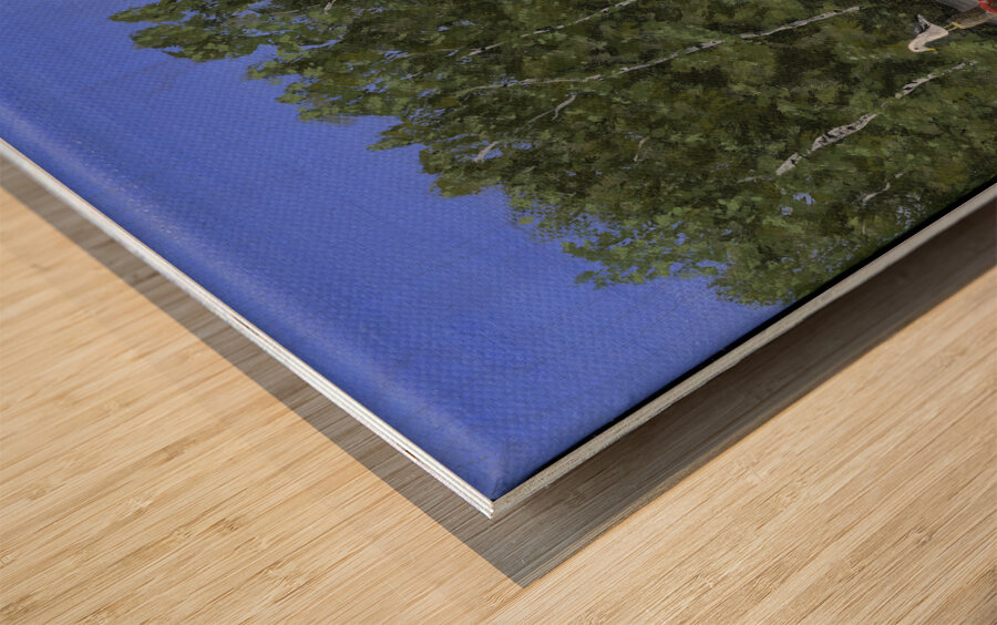 Seas the Day 2 Wood print