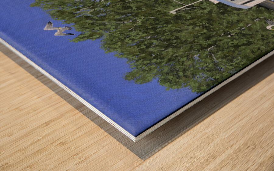 Seas the Day 1 Wood print