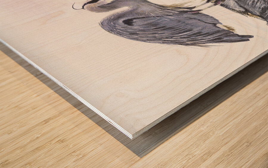 On Reflection Wood print