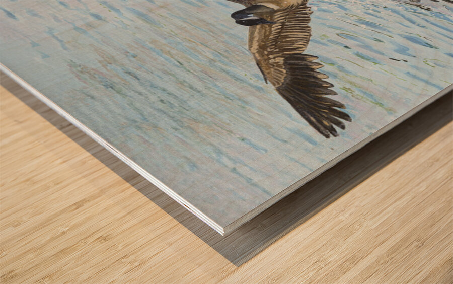 Making a Splash Wood print