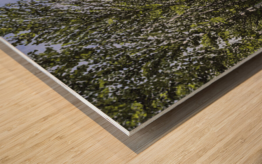 Tatamagouche Grain Elevator  Wood print