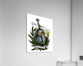 Warrior  Acrylic Print