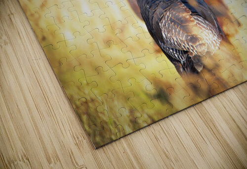 Golden Turkey Stephen Keahon puzzle