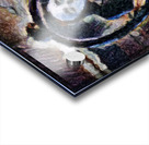 Lookin At Acrylic print