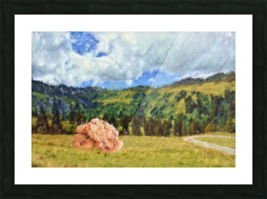 Free Range Cookies Picture Frame Printing