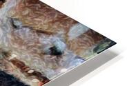 Lookin At HD Metal print