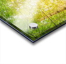 Crossing Over Acrylic print