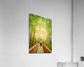 Crossing Over Acrylic Print