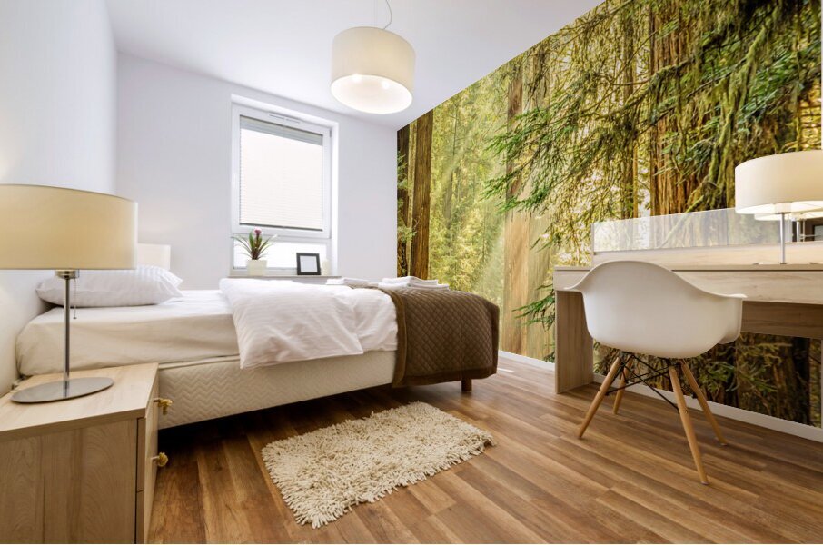 Morning Light Mural print