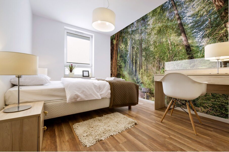 Forest Trail Mural print