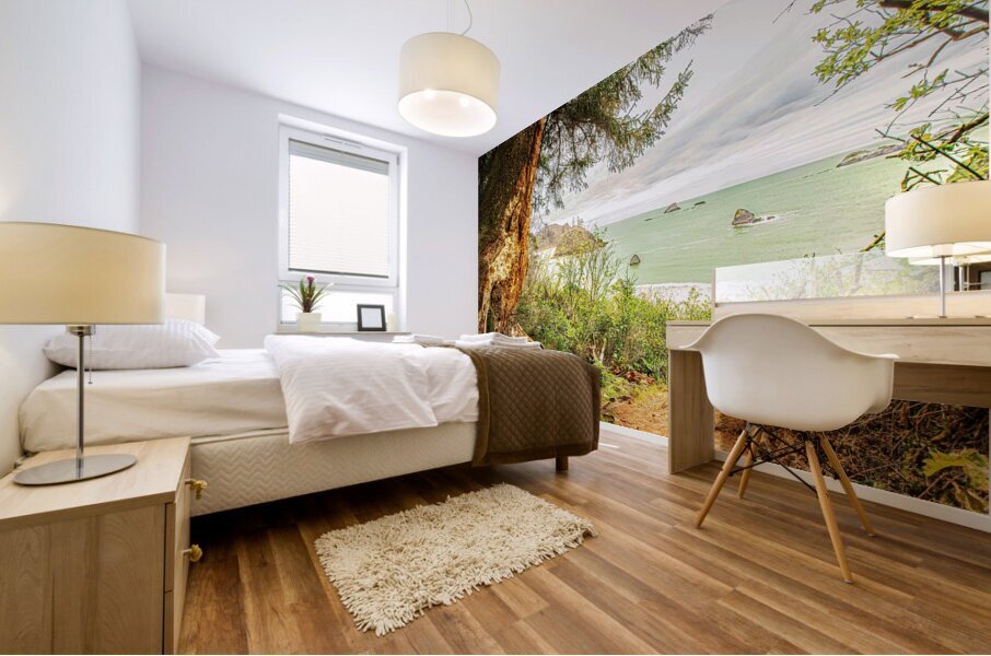 Quiet Cove Mural print