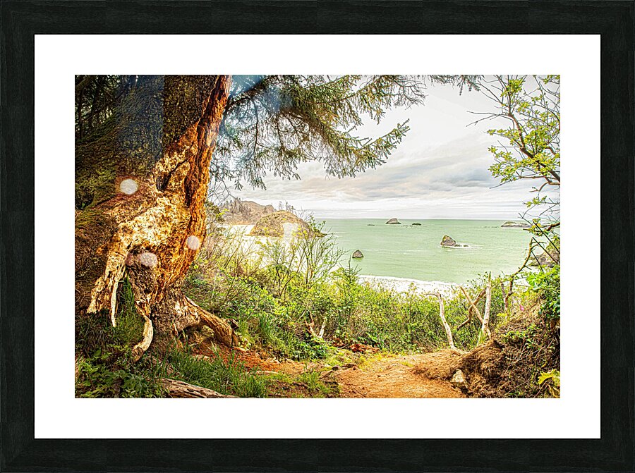 Quiet Cove Picture Frame print