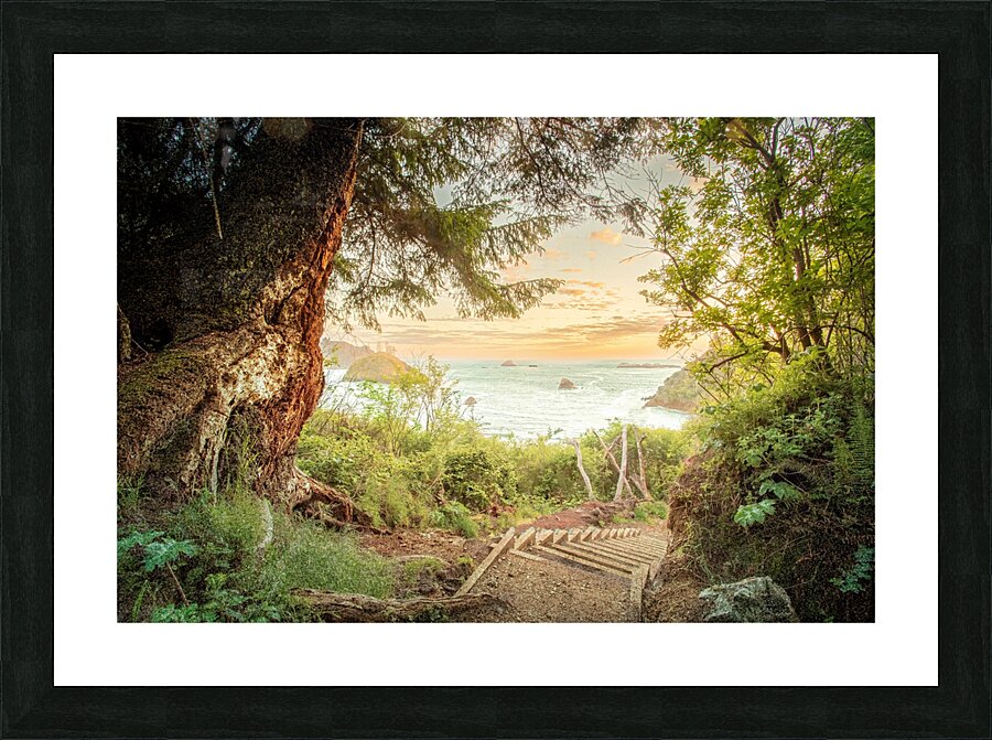 Sunday Trail Walk Picture Frame print