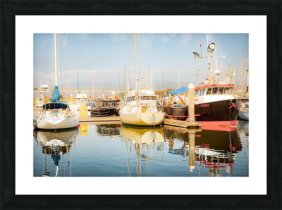 Soko Picture Frame print