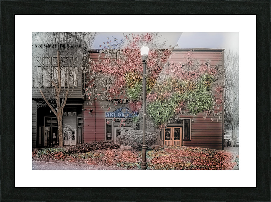 Art Gallery Picture Frame print