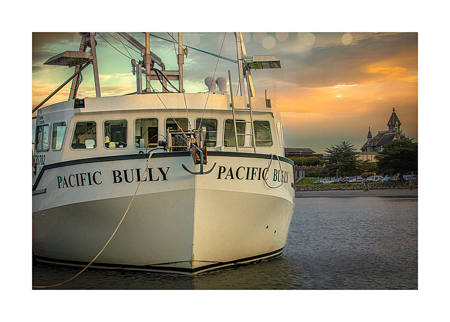 Pacific Bully Picture Frame print