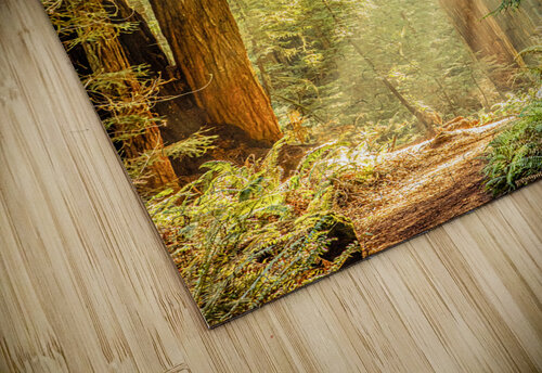 Morning Light Alan Workman Fine Art Photography puzzle