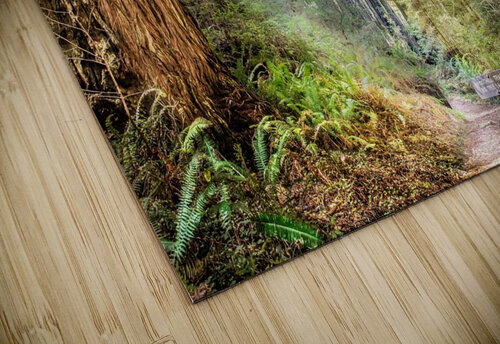 Forest Trail Alan Workman Fine Art Photography puzzle