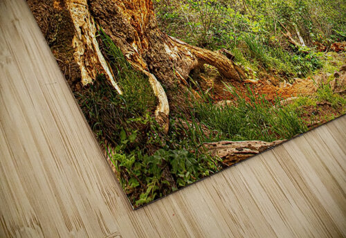 Quiet Cove Alan Workman Fine Art Photography puzzle