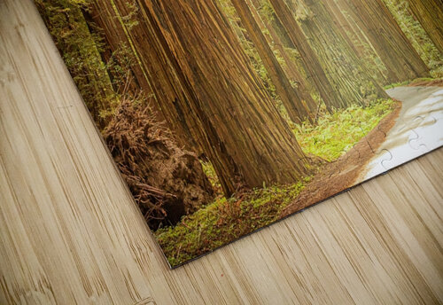 Tall Trees Alan Workman Fine Art Photography puzzle