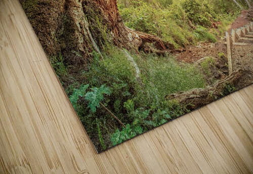 Sunday Trail Walk Alan Workman Fine Art Photography puzzle