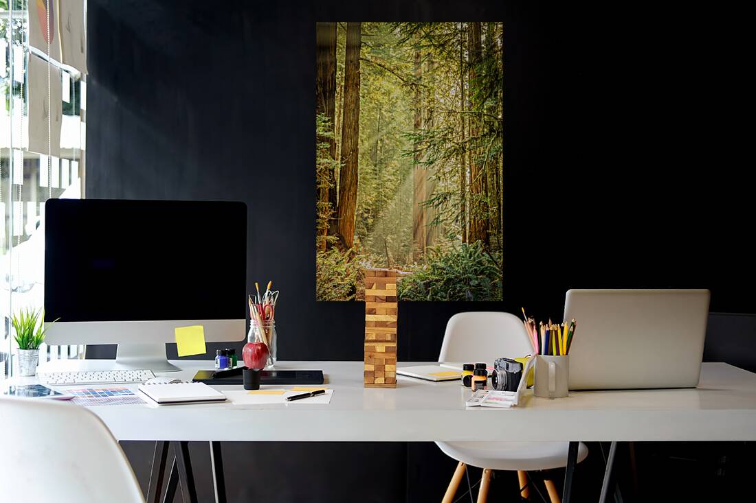 Morning Light Reproduction
