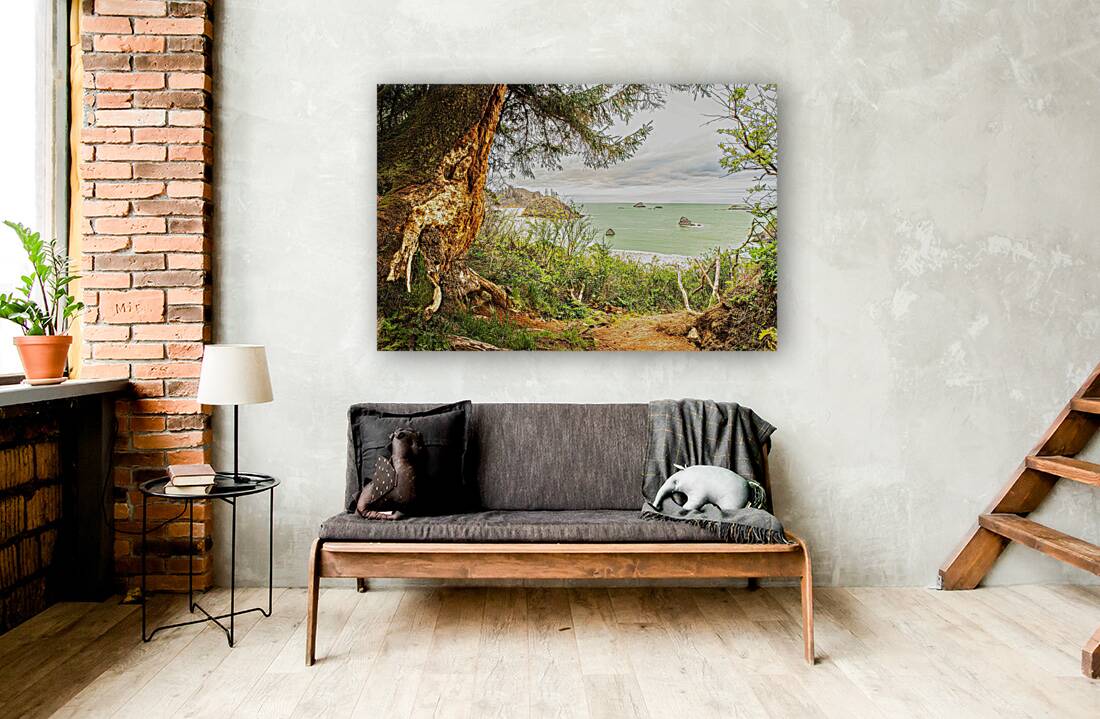 Quiet Cove Reproduction