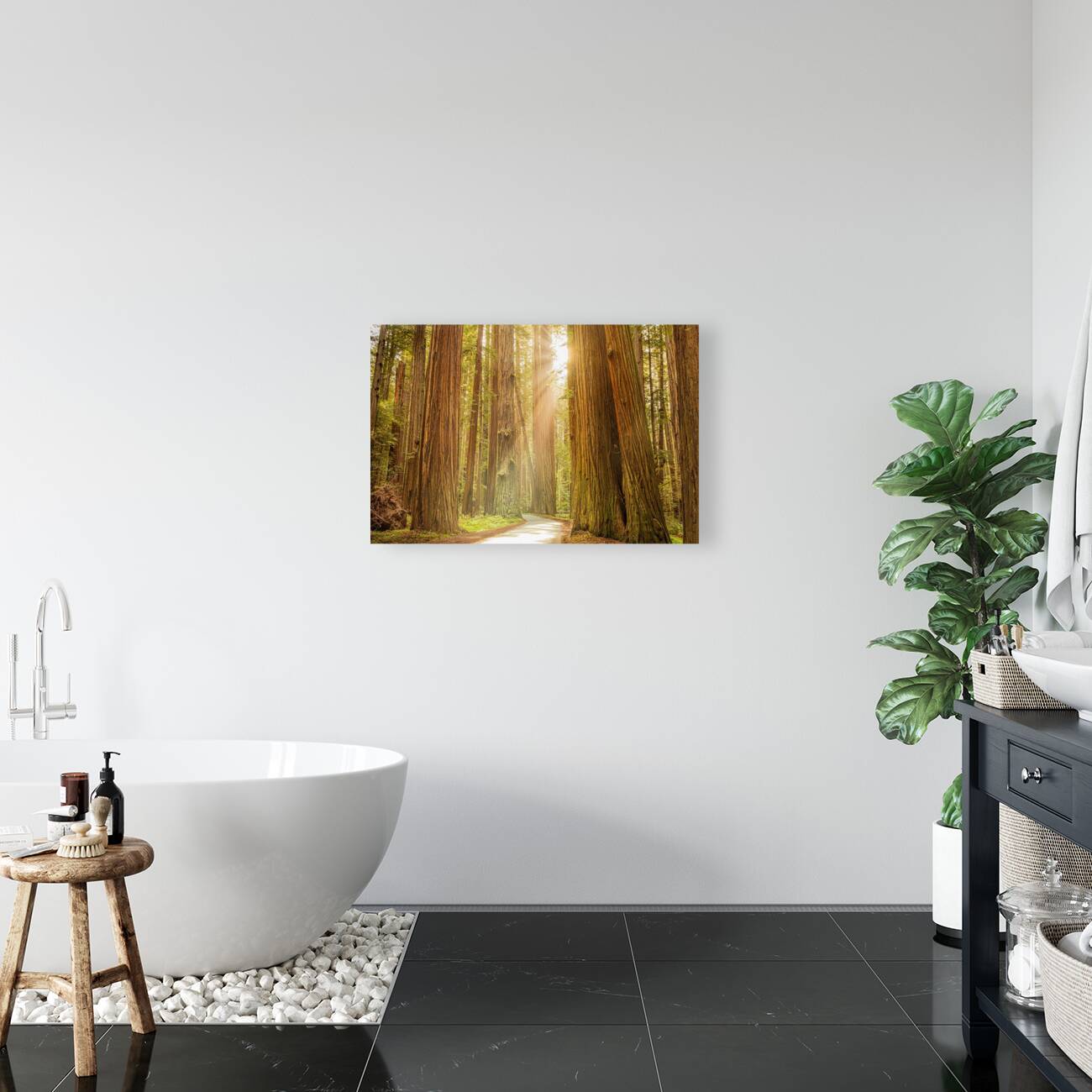 Tall Trees Reproduction