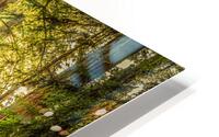 Morning Light HD Metal print