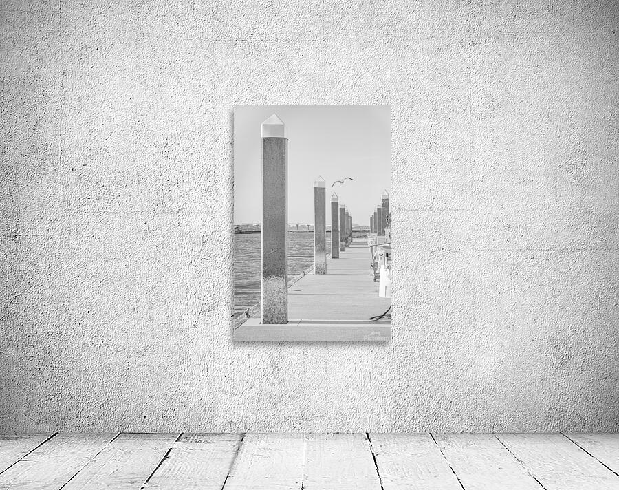 Fly Away Wall Preview