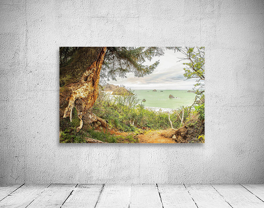 Quiet Cove Wall Preview